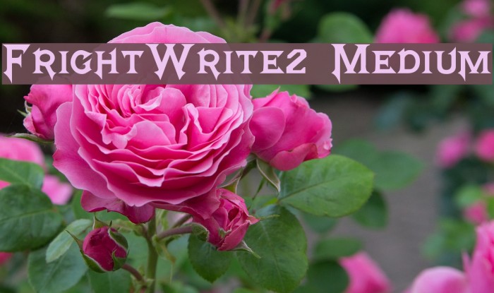 FrightWrite2 Medium Fonte examples
