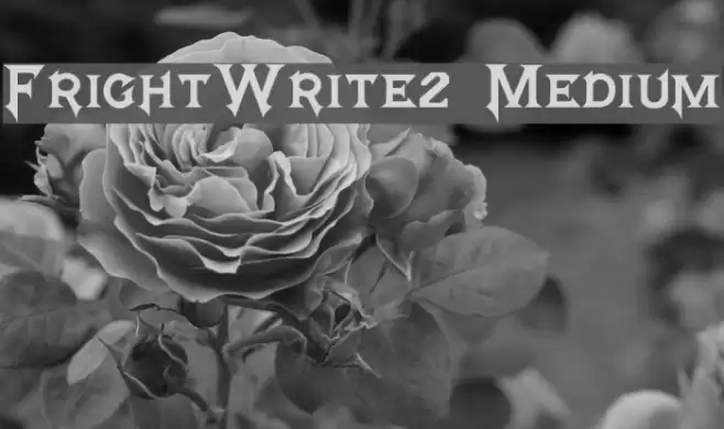 FrightWrite2 Medium Polices examples