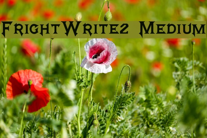 FrightWrite2 Medium Fonte examples
