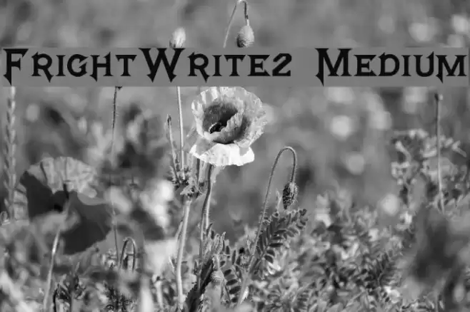 FrightWrite2 Medium Polices examples