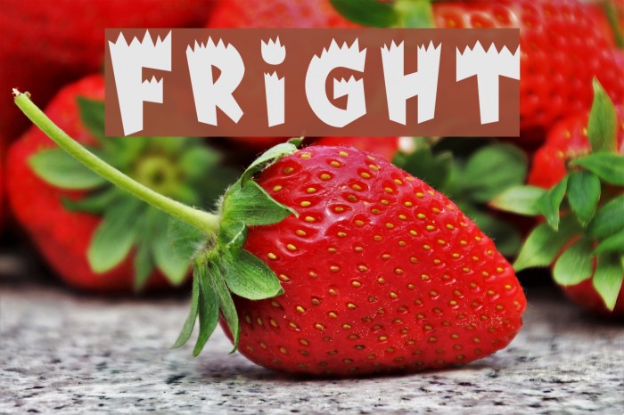 Fright Font examples