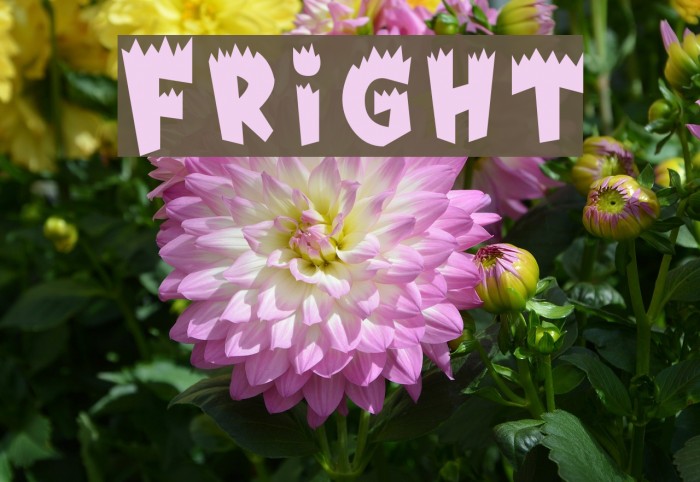 Fright Font examples