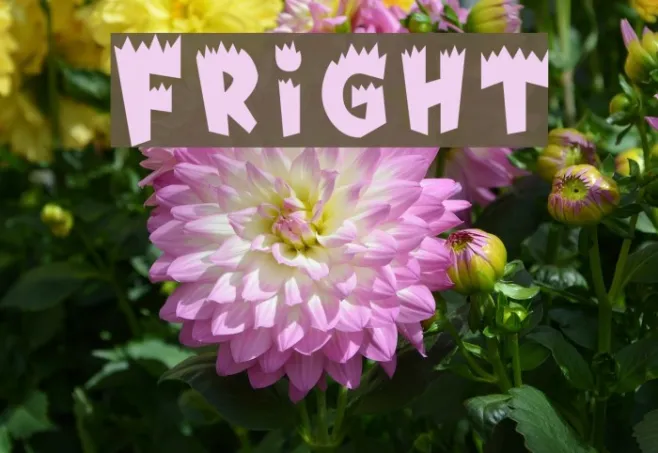 Fright Example 3