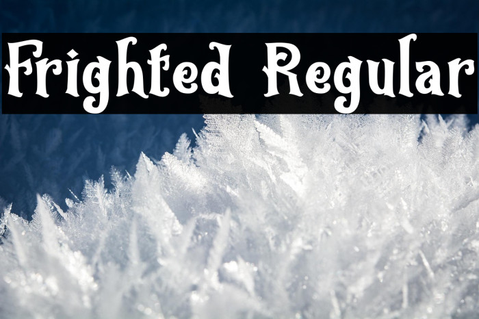 Frighted Regular Example 1