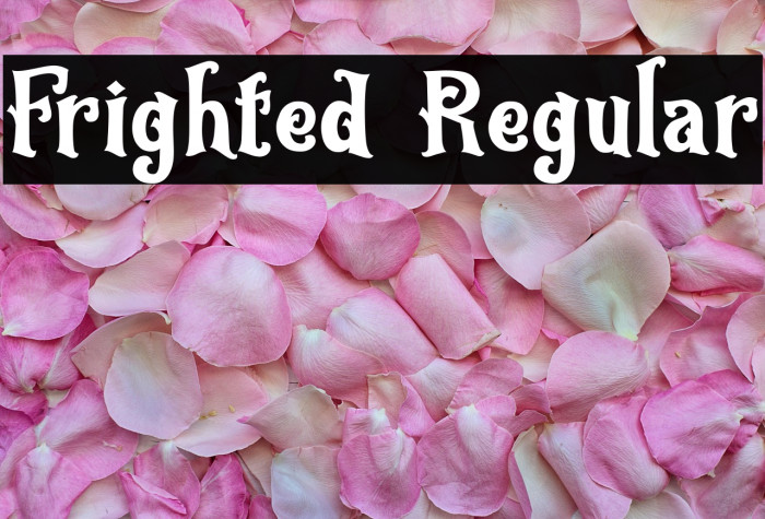 Frighted Regular Example 3