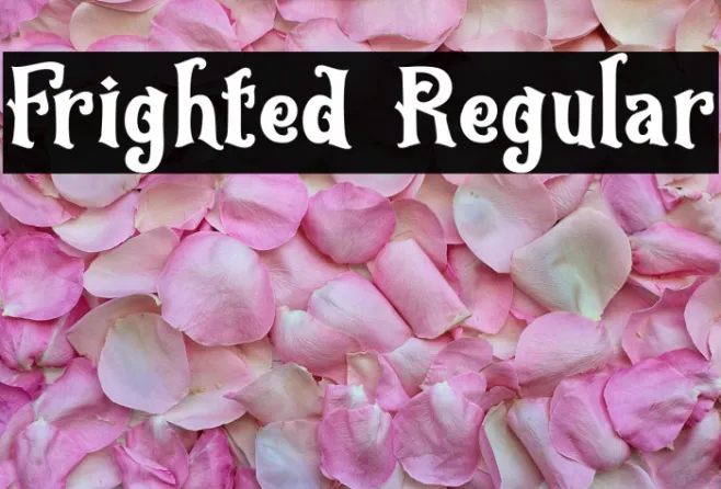 Frighted Regular Example 3