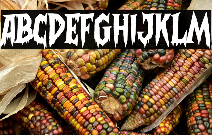 Frightmare Example 3