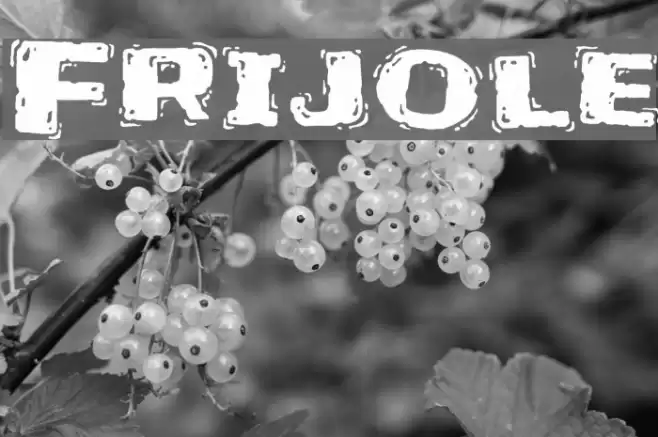Frijole Font examples