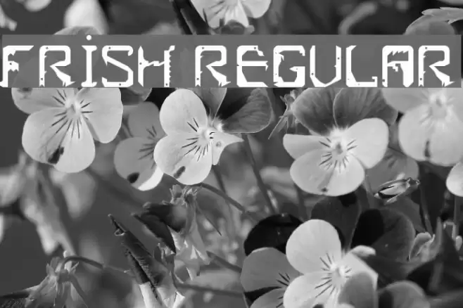 Frish Regular フォント examples