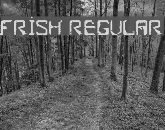 Frish Regular フォント examples
