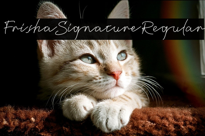 FrishaSignature-Regular Example 3