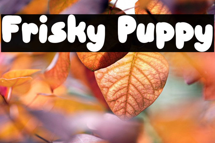 Frisky Puppy Example 1