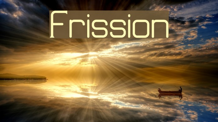 Frission Font examples
