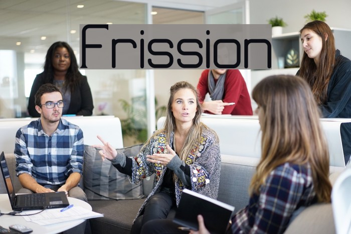 Frission Font examples