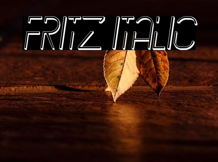 Fritz Italic Example 3