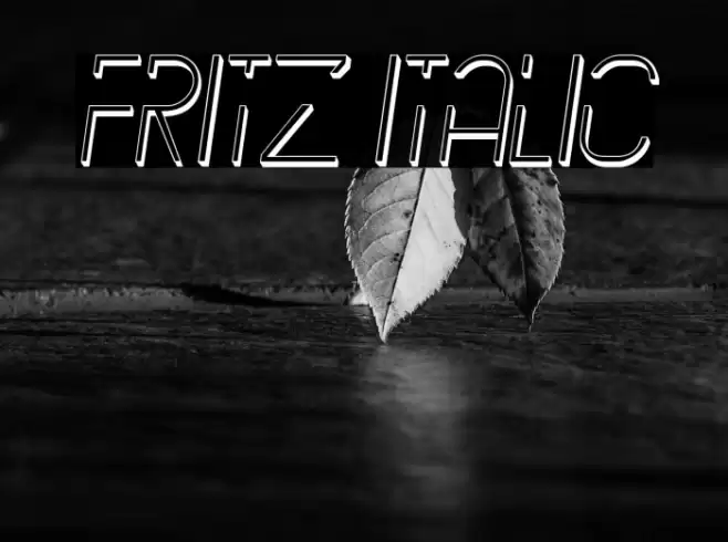 Fritz Italic Font examples