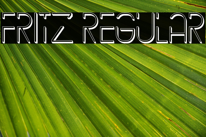 Fritz Regular Example 3