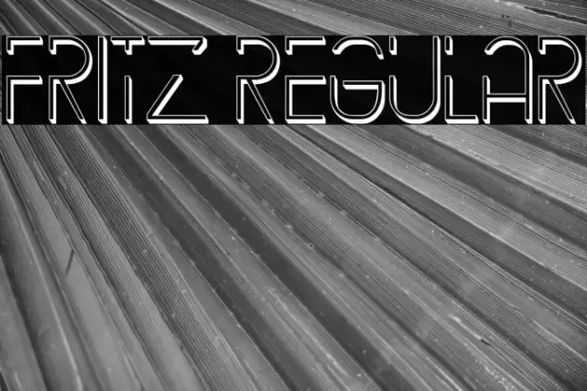 Fritz Regular Font examples