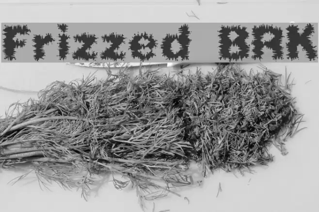 Frizzed BRK Font examples