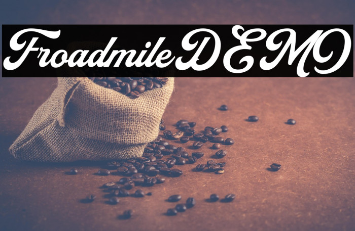 FroadmileDEMO Example 3