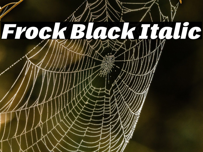 Frock Black Italic Example 1