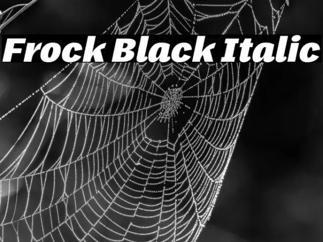 Frock Black Italic Font examples