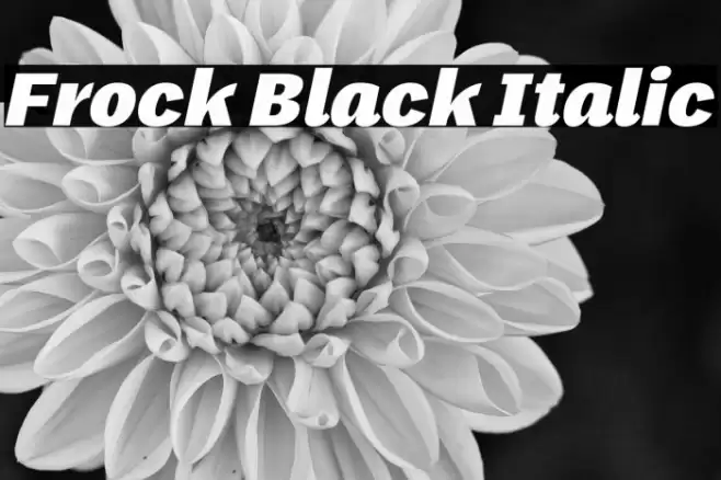 Frock Black Italic Font examples
