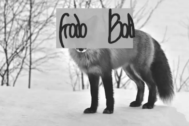 Frodo Bold Font examples