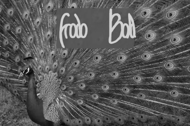 Frodo Bold Font examples