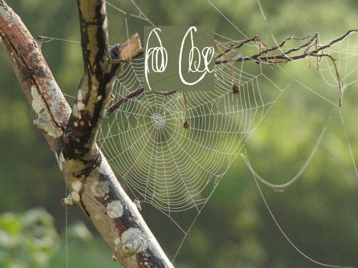 Frodo Close Example 2