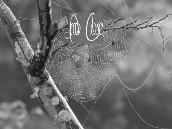 Frodo Close Font examples