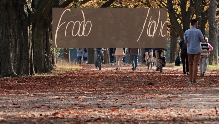 Frodo Italic Font examples