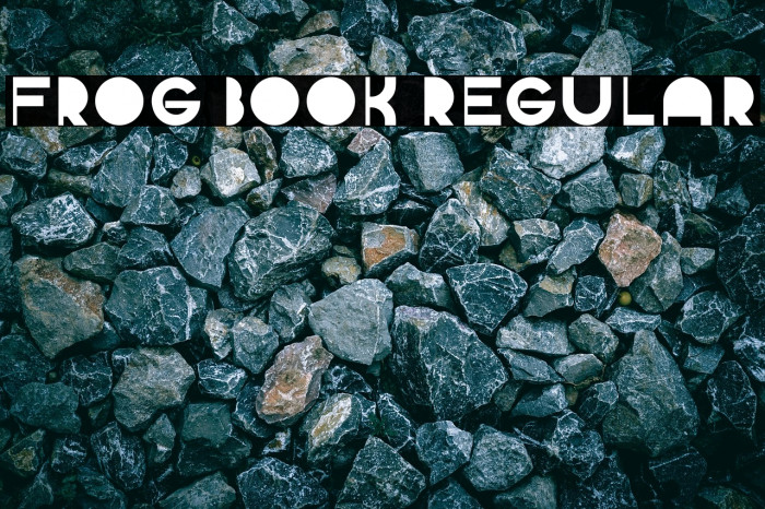 Frog Book Regular Example 1