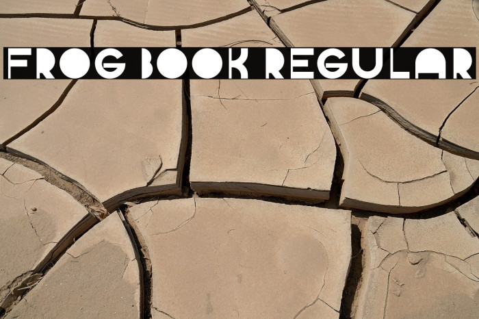 Frog Book Regular Example 3