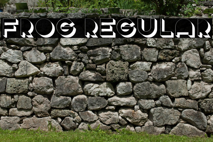 Frog Regular Example 1