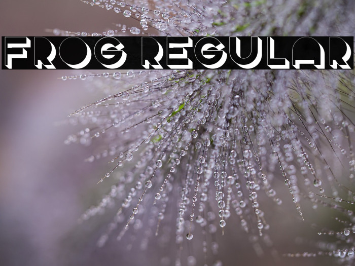 Frog Regular Example 2