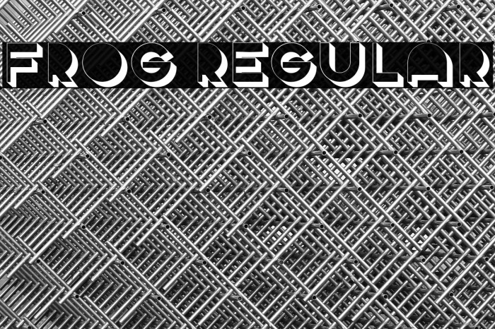 Frog Regular Example 3