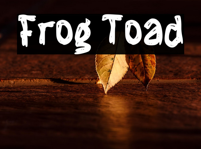 Frog Toad Example 2
