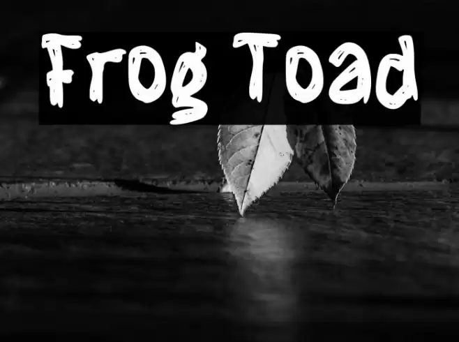 Frog Toad Font examples