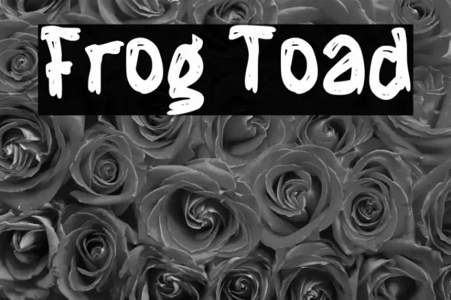Frog Toad Font examples