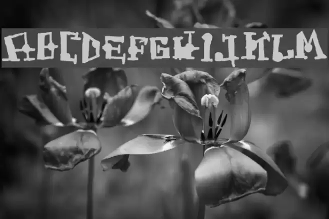 FrogAss Font examples