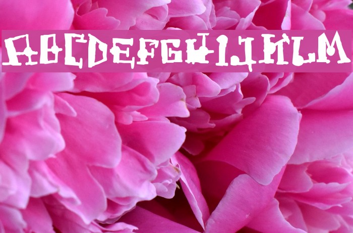 FrogAss フォント examples