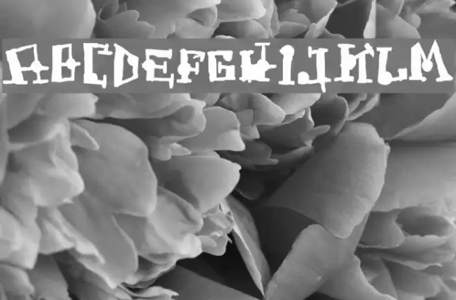 FrogAss Font examples