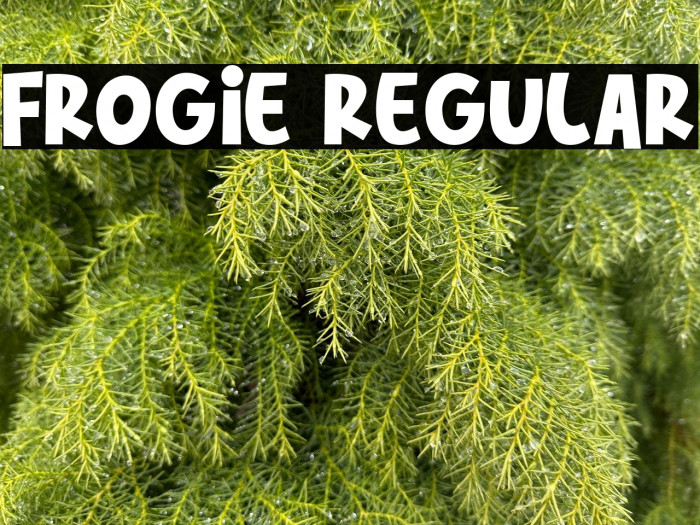 Frogie Regular Example 1