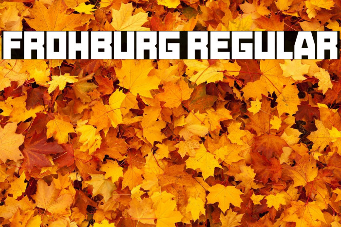 Frohburg Regular Example 1