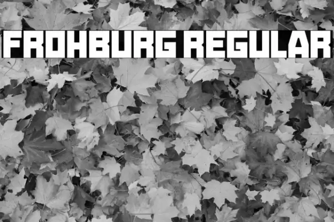 Frohburg Regular Polices examples