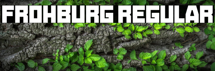 Frohburg Regular Example 2