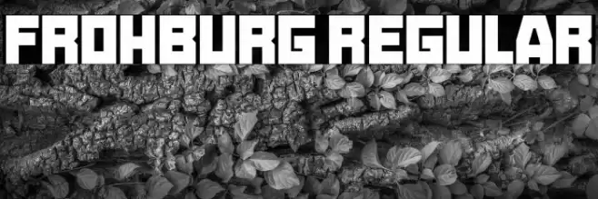 Frohburg Regular Polices examples
