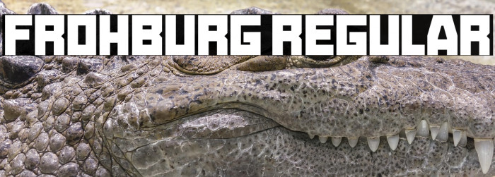 Frohburg Regular Example 3