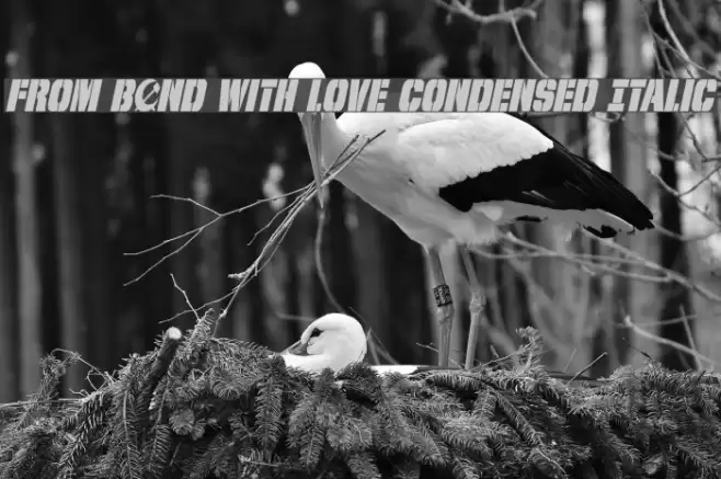 From BOND With Love Condensed Italic Font examples
